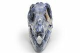 Carved Sodalite Dinosaur Skull - Roar! #218506-2